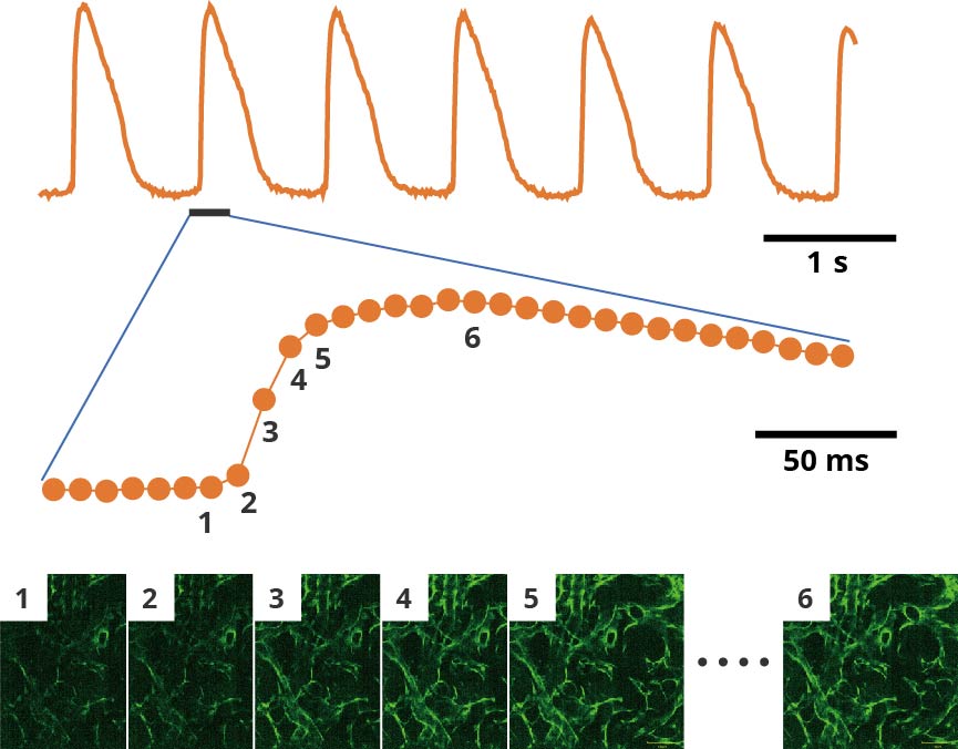 Fast Time Lapse Function